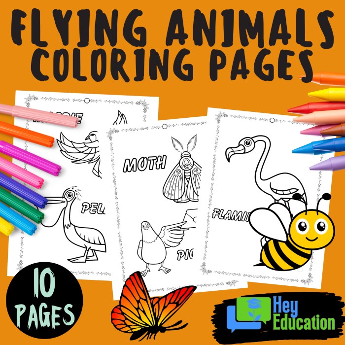 Animals that fly coloring sheet