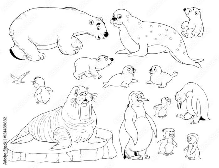 Arctic animals coloring sheet