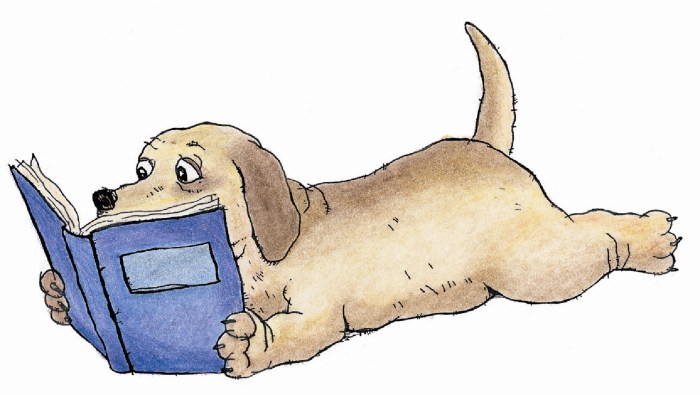 Animals reading books coloring pages