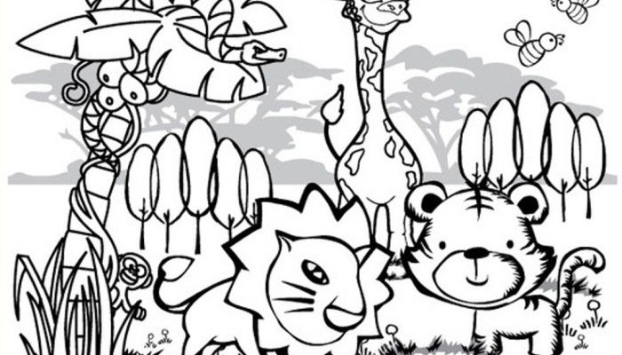 Forest Habitat Without Animals Coloring Pages