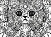 Animal Mandala Coloring Sheets A Complete Guide