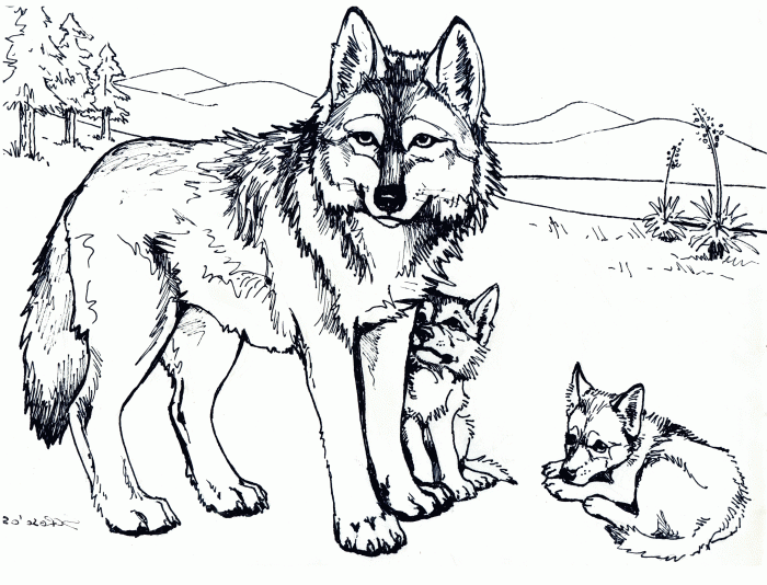 Animal coloring pages wolf face