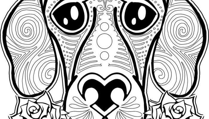 Animal Coloring Pages for Older Kids