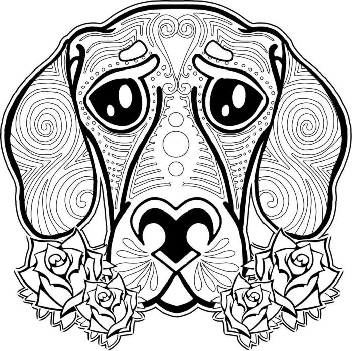 Animal coloring pages for older kids