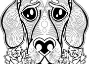 Animal Easy Mandala Coloring Pages