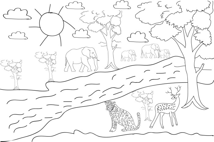 Animals hiking coloring pictures