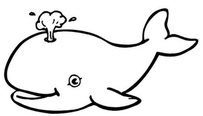 Animal Faces Coloring Pages Blue Whale