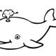 Animal faces coloring pages blue whale