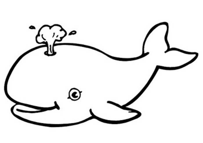 Animal faces coloring pages blue whale