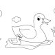 Coloring book pictures animals