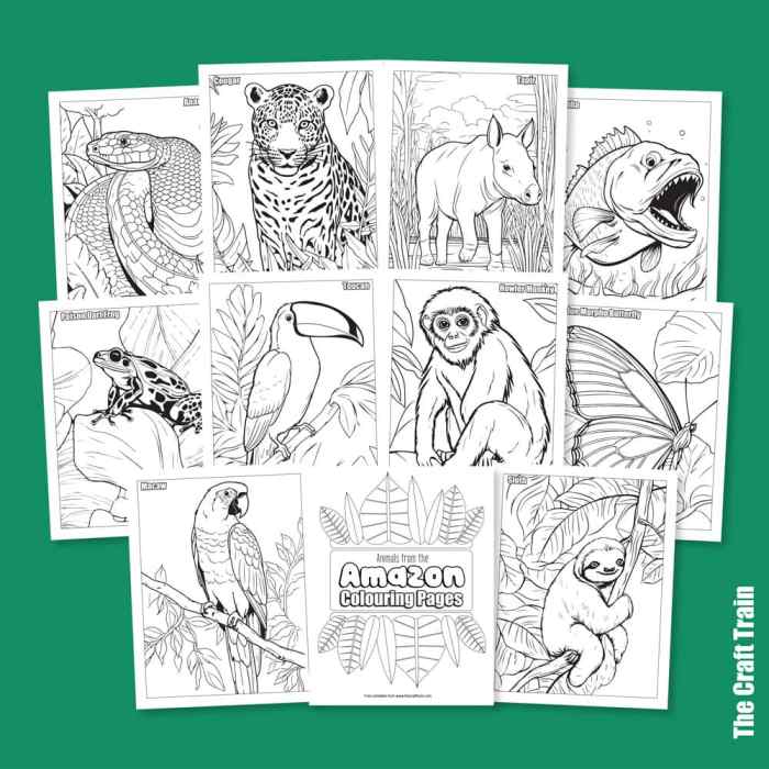 Animals on the rainforest floor coloring pages