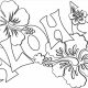 Hawaiian animals coloring pages