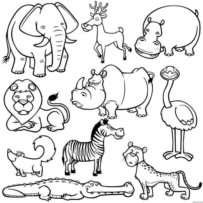 Animal coloring book kids