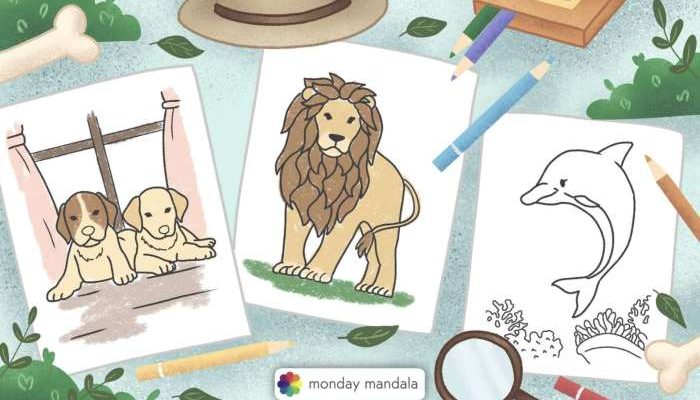 Coloring Animals for Kids A Creative Journey