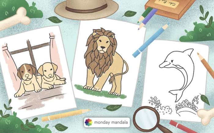 Coloring animals for kids