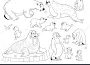 Arctic Animals Coloring Sheet Fun & Educational