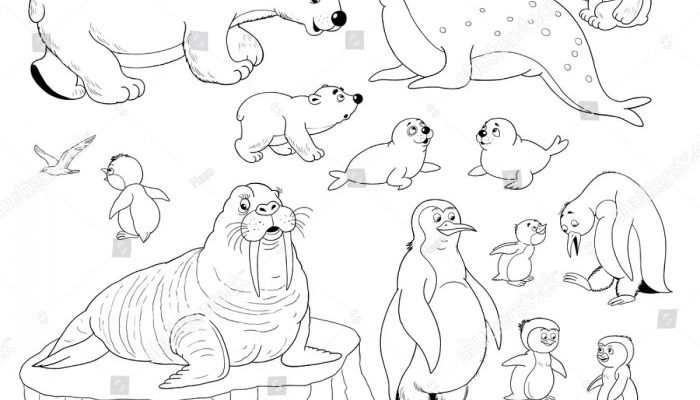 Arctic Animals Coloring Sheet Fun & Educational