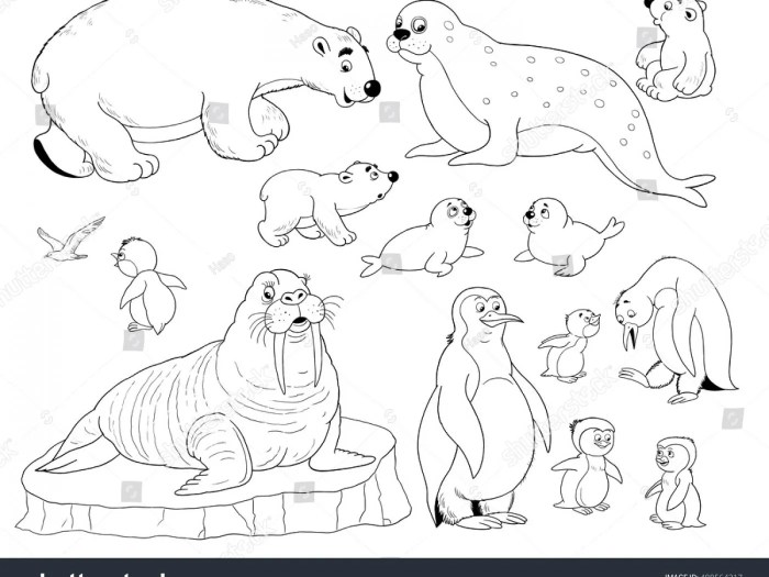 Arctic animals coloring sheet