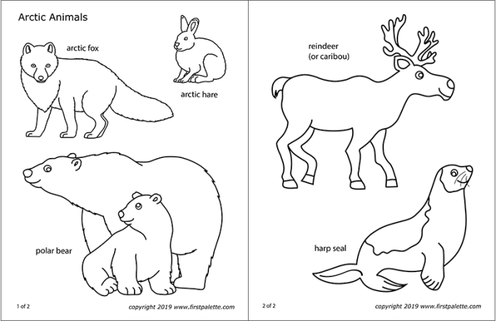 Arctic animals coloring sheet