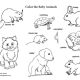 Animated baby wild animal coloring pages