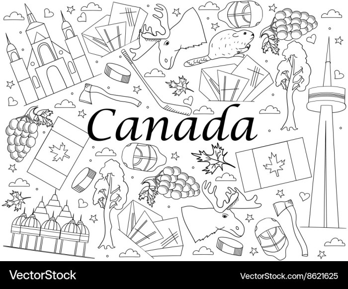 Animals of canada coloring pages