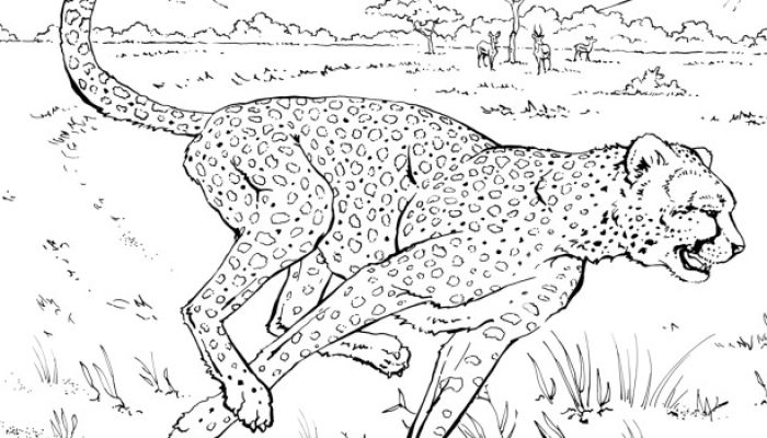 ColoringPageRealAnimals.com Fun for Kids!