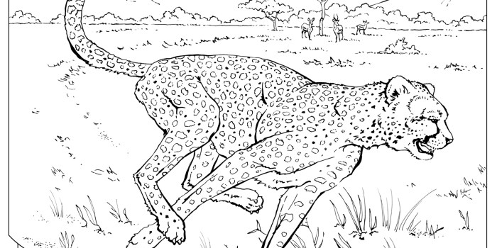 Coloring page real animals.com