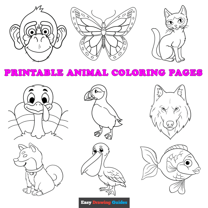 Animal coloring pages for older kids