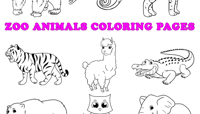 Animal Coloring Page Free PDF Fun for All Ages