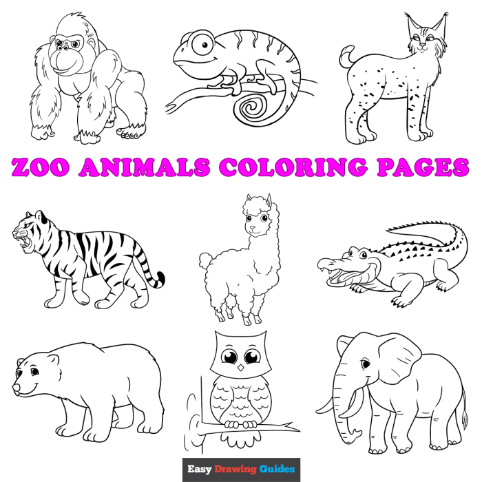 Animals coloring big pages for kids