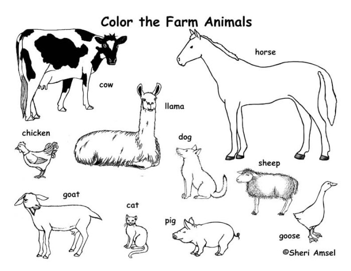 Animal farm coloring pages pdf