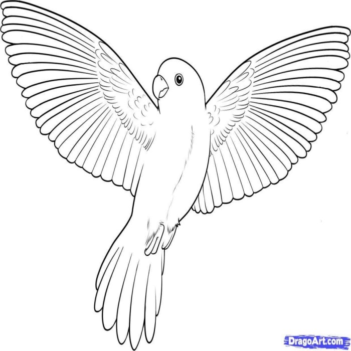 Animals that fly coloring page