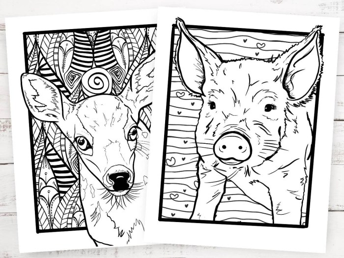 Animal sanctuary coloring book