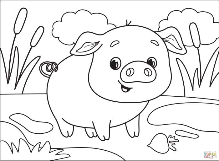 Animal coloring pages pig cute