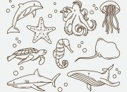 Coloring Book Pictures Sea Animals