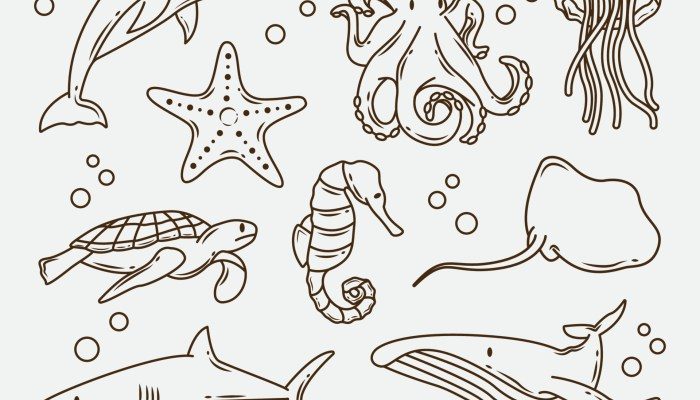 Coloring Book Pictures Sea Animals