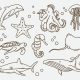 Coloring book pictures sea animals