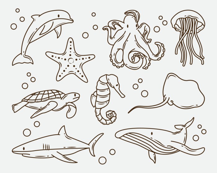 Coloring book pictures sea animals