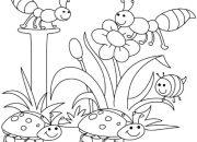 Spring Animal Coloring Sheets Fun for All Ages