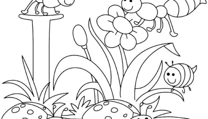 Spring Animal Coloring Sheets Fun for All Ages