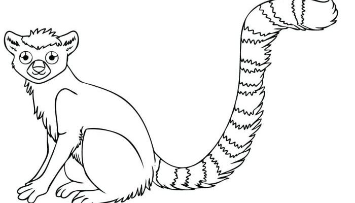 Animals on the Rainforest Floor Coloring Pages