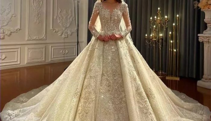 Long Wedding Dresses with Trains A Guide